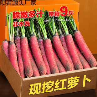 ���ɳ�ؼt�}��9�����r�F�ڼt�}������tƤ͸�Ĵ��}��������}��1