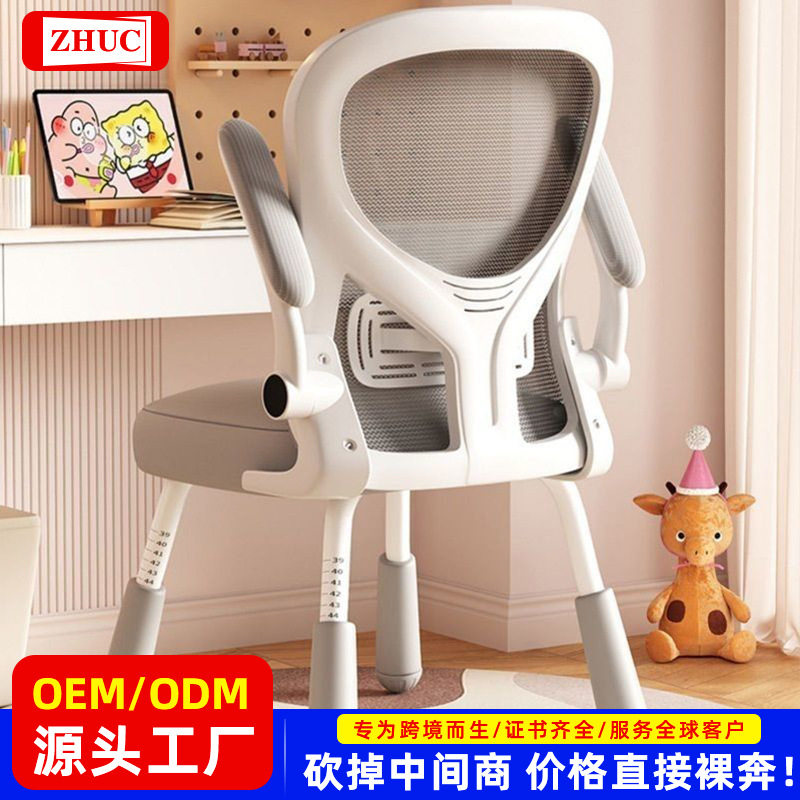 Computer Chair, Home Waist Support Chair, Posture Correction Back Seat, Liftable Writing Chair, Ergonomic Chair