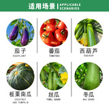 Без деформации томаты, король завязывания плодов, спиртовой спрей для завязывания плодов, пыльники, настоящие помидоры, окунутые в пыльники, завязывающие плоды спиртные помидоры, окунутые в цветочную воду, опрыскивающие цветы