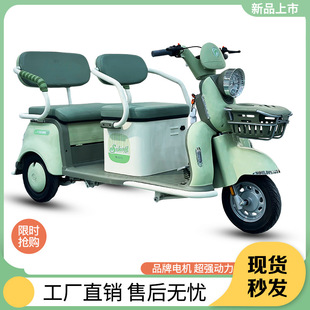電動三輪車男士女士接送孩子代步成人小型老年雙人家用電瓶車