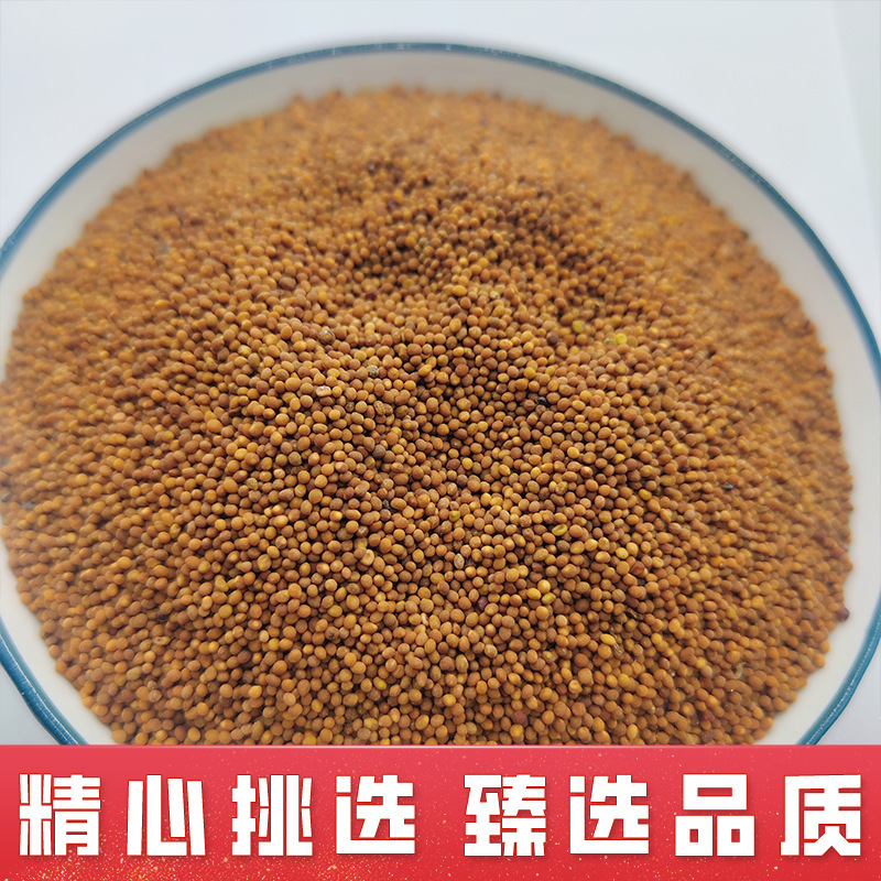 菟丝子中药材正品道地内蒙产地干净无杂质煮水泡水佳选500克|undefined
