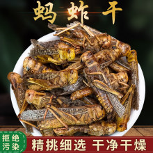 野山干蚂蚱500g蝗虫蚱蜢草蜢另售蝼蛄蛴螬牛虻土鳖虫雄蚕蛾真