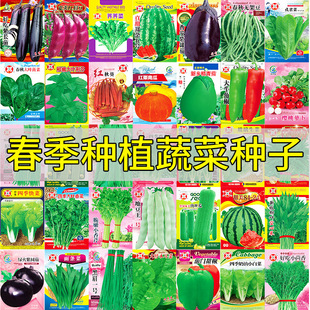 �S���ļ��߲˷N�����l��ȫ��ͥ�ˈ@�̨�����߲�ˮ���N�Ѵ�������