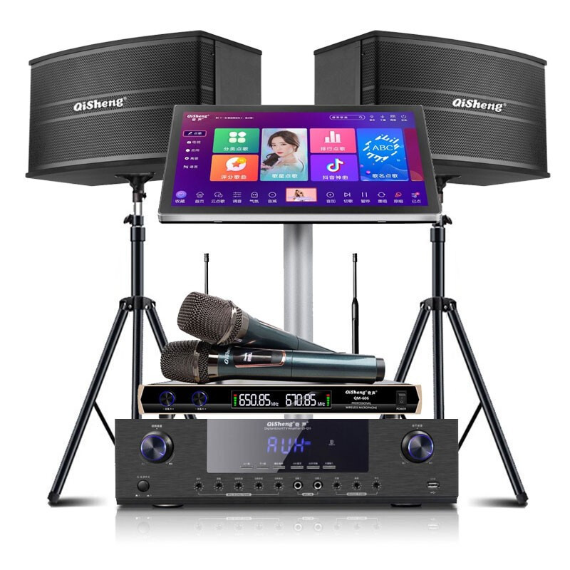 Wonder Voice Singer Home Theater ktv Audio Conference Room Dance Amplifier Set Home Karaoke Dual System