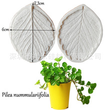 草莓叶子花瓣夹模压模翻糖硅胶模具 diy切模巧克力蛋糕装饰黏土模