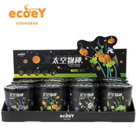 Ecoey绿植室内盆栽批发儿童小男手工diy益智玩具礼物展示盒装