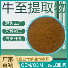 牛至提取物 10:1 牛至粉 止痢草提取物 水溶好 牛至叶粉 现货销售