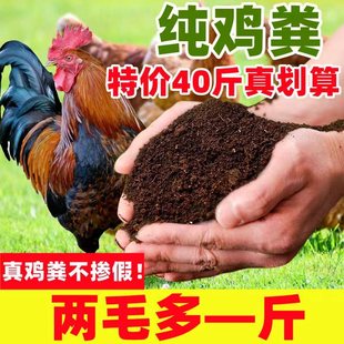 Chicken Manure Fermented Organic Fertilizer for Potted Flowers and Vegetables, Chicken Manure Fertilizer for Plants, General Decomposed Farmyard Fertilizer, Sheep Manure