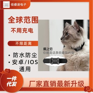 Pet Global Dog и Cat Airtag Outdoor Defense Defense Lost Find Android IOS GM GM