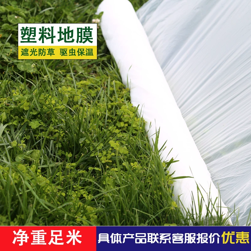 Полиэтиленовая пленка сельскохозяйственная Затирка противотуманная посадочная пленка Белая Прозрачная Черная теплоизоляционная пленка для выдувного формования овощей