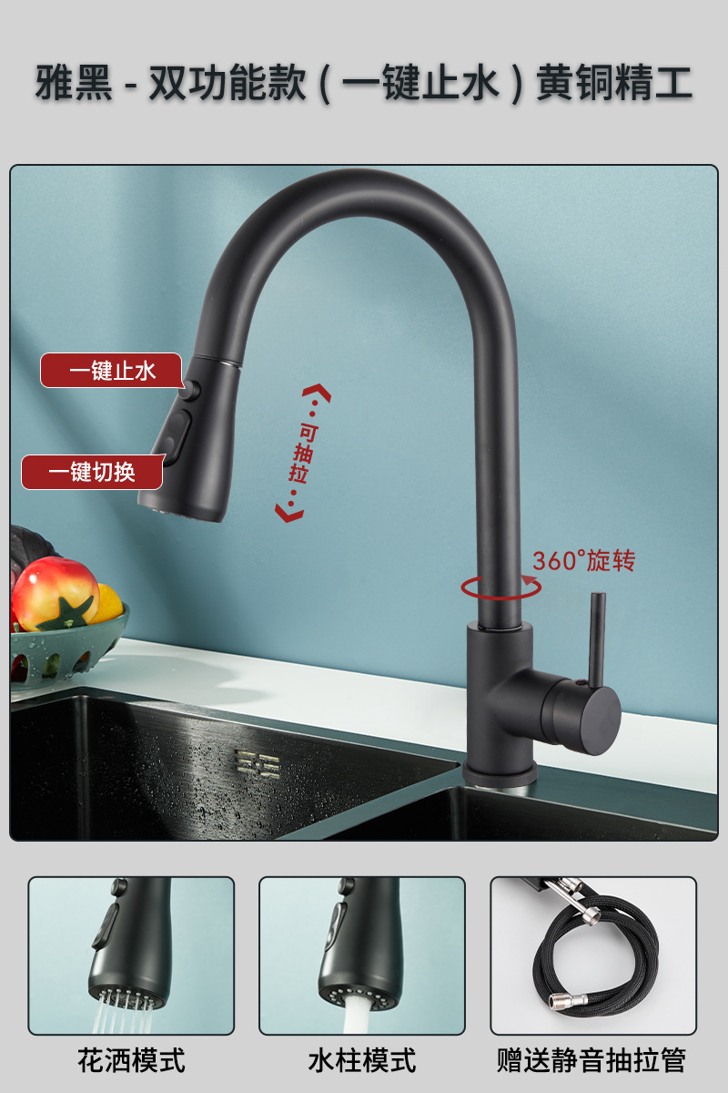 Vida canción transfronteriza grifo de la cocina caliente y fría de doble uso vegetal grifo de la fábrica suministro directo