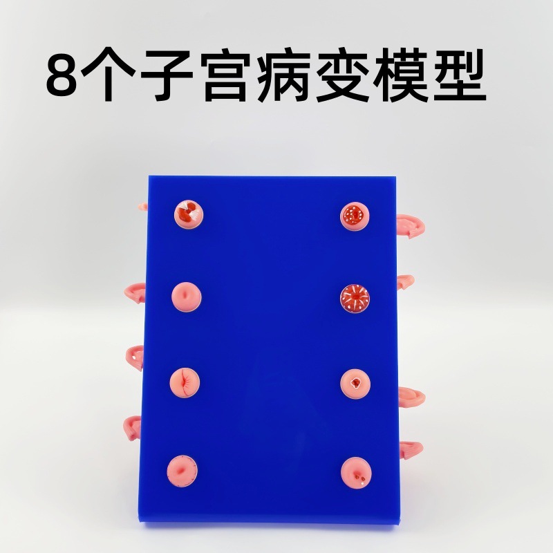 ��ѧ���� ���ƿƽ̾� ҽѧ�����ӹ�ģ�� 8�����ֲ����ӹ�����ģ��