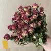 Алиса (10 шт)