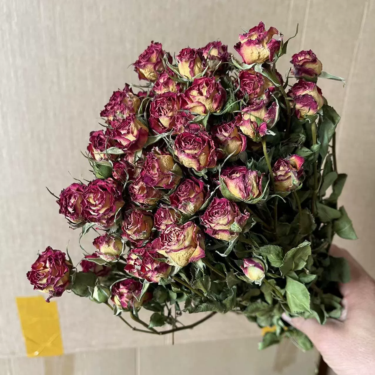 Сушеный букет из многоцветной розы (Юньнань), 10-гроздьев, засушенные свадебные и подарочные цветы