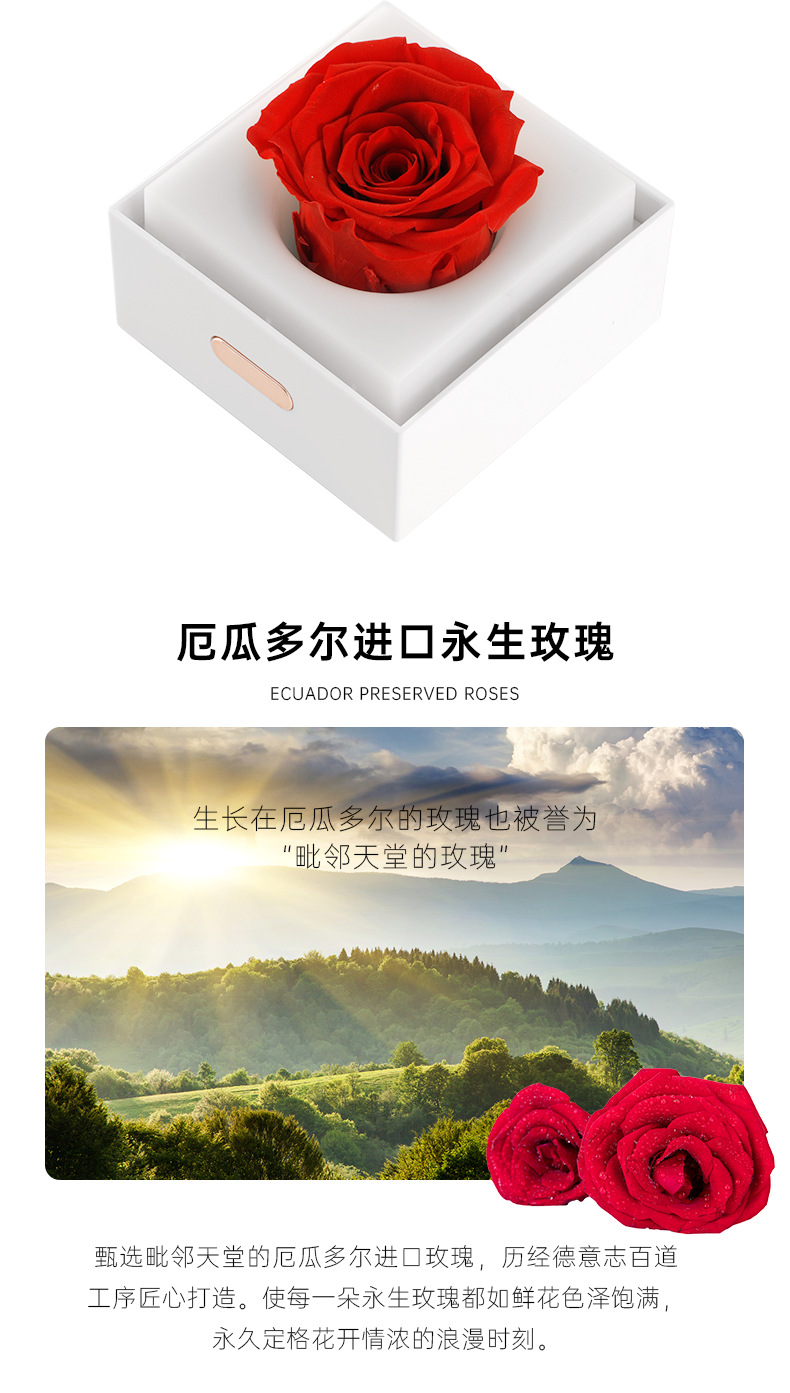 永生花夜灯_06.png