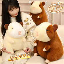 ��߸���m�ië�q��߿�Ƥ������������żˮ������Ђ}��ë�q�ɐ�