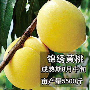 Ѫ�Ҙ����޽��ش�ˮ�����Ϸ������Nֲ�������ͥԺ���Ԯ���Y��