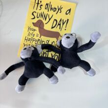 С����ë�q���޺�ɫ���ɒ���֙C���K�����������Y����ʽͨ��