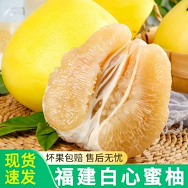 块茎类;苹果;梨