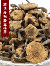 【榛蘑】 榛蘑松蘑肉厚无根脱水 2023新货蘑菇冬菇菌菇批发价