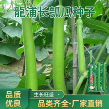 ���ۺ����L�ϷN�����ѹϷN�Ӳ˺��Jˮ�ψA��Ӹ߮a�ļ��߲�