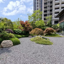 �S����ɫ�[ʯ��������ʯ�ӽ��B�C���·��ɫʯ����ʯ