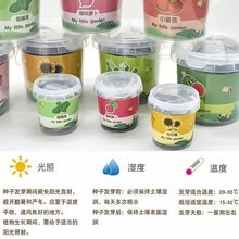 ͯNֲ԰ɄֲDiyk̨ꖹⷿȷNӴll