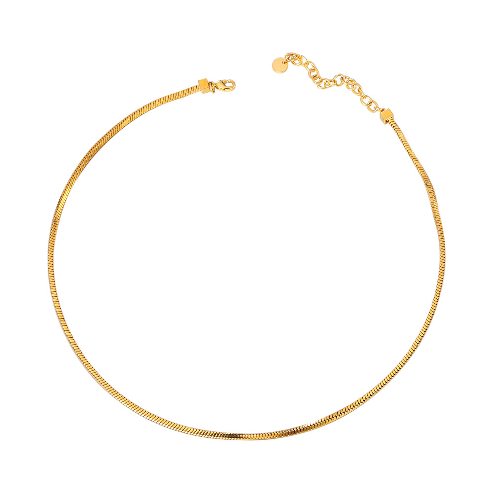 european-and-american-style-light-luxury-snake-bone-chain-necklace-ins-blogger-same-style-simple-cold-style-short-blade-chain-snake-bone-chain