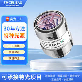 埃赛力达J2022 300W氙灯 胃肠镜灯泡 CLV190/290SL胃镜冷光源主机