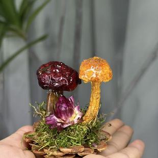 �����Ұ���������N�����Ⱦ�o��ƷĢ�����μo���߲���ϰ��ֶY