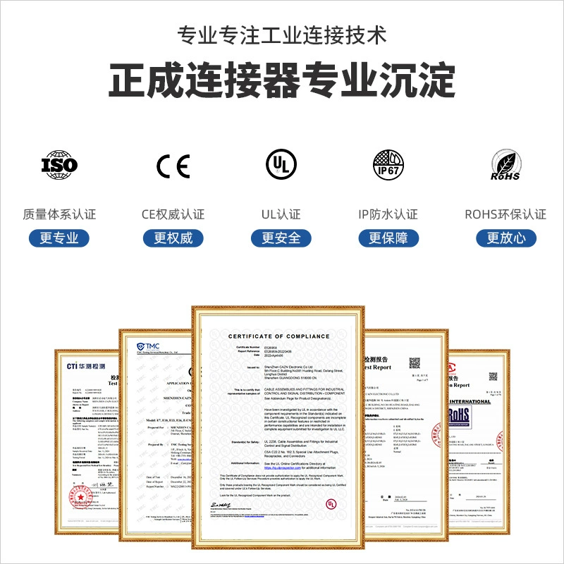 Панельная заглушка Zhengcheng EP-RJ45 для фронтальной установки, фиксирующая вставка, 8-жильный влагозащищённый разъём, переходник «гнездо-вилка», длина 0.3 м/1 м