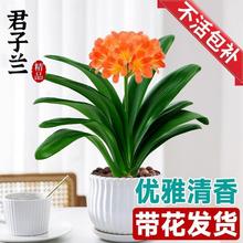 �����m�����玧��������ֲ���҃ȇ����ؼ��ޟo�Ծ�Ʒ���F�ļ����B