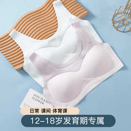 发育期内衣女初高中学生无缝运动背心加肥版少女文胸无钢圈固定杯