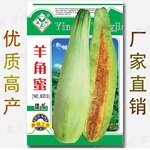 羊角蜜种子 约50粒正品酥甜瓜种籽孑苗脆超甜高产四季香瓜春季瓜