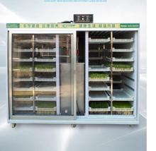 商用日產200斤綠豆芽全自動豆芽機 設備自動淋水控溫芽苗菜機特價