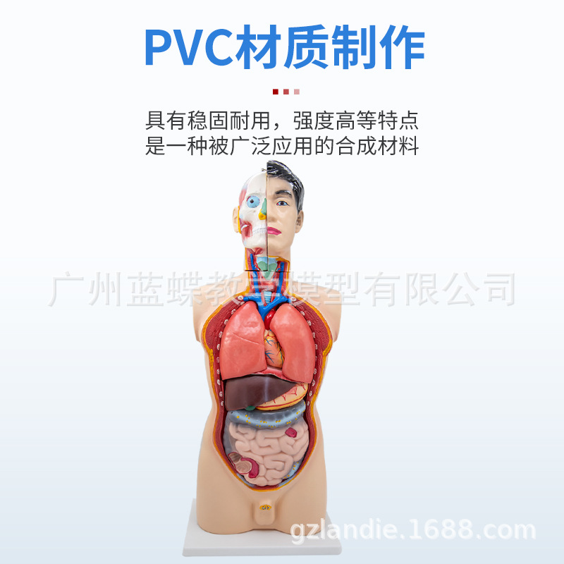 85CM�������ɿɲ�19���������ٽṹ��֯�����������ٽṹ�ֲ��ṹ