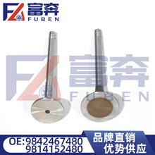 9842467480 9814152480适用标致3008 2008雪铁龙C3排气进气气门