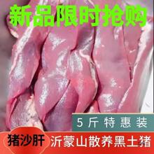 ��5����ɳ�Ρ�����ɳ�� ��Ƣ��ʨ�Ӹβ�����������ˮ����������