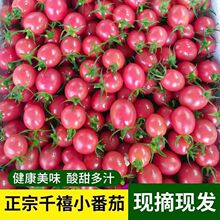 5��ǧ���}Ů��С�������rˮ��������Ȼ�������߲����t�����԰��]