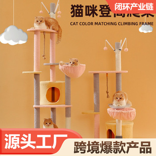 �羳��������؈�C؈��һ�w����؈ץ�������؈����Ʒ�ǿ�����