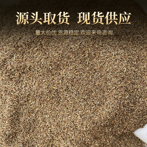 New  Xinjiang Cumin Barbecue Seasoning, 500g Cumin Powder for Grilling, Indian Cumin Seeds