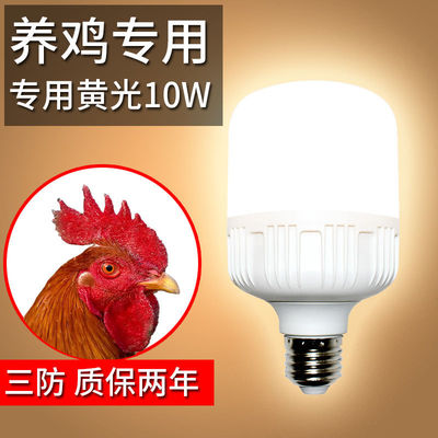 Henhouse breed Warm light Brooding Raising chickens heating greenhouse bulb breed new pattern Henhouse Hens