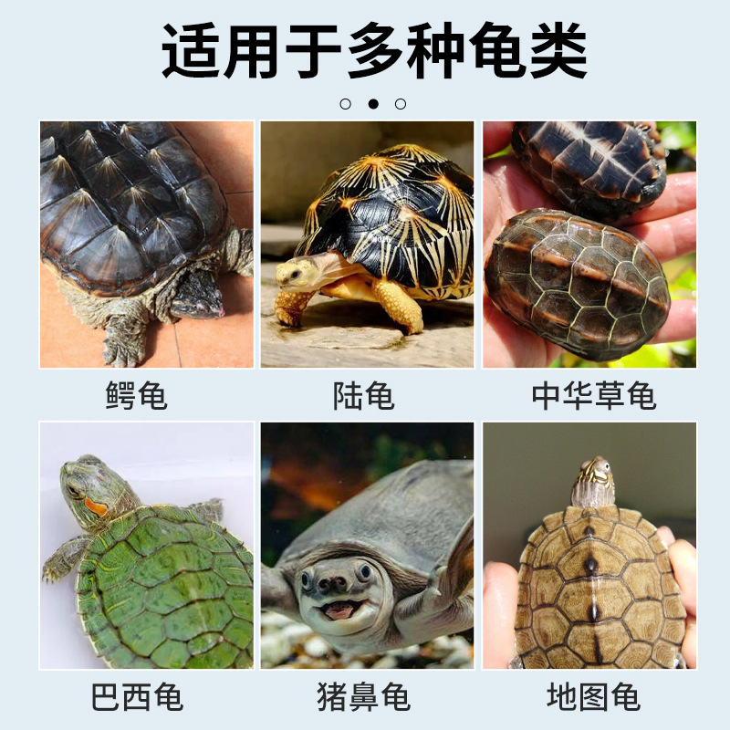 普欣諾亀眼洗浄液ケア洗浄殺菌ブラジル亀カメ用品腐甲白眼病目が開けられない|undefined