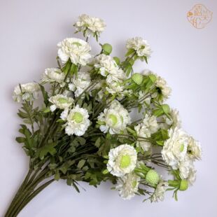 ���x�ݷ��滨�Ҿ��b�c�߶˻�Y���bƵ�Ҿߔ[�����Q