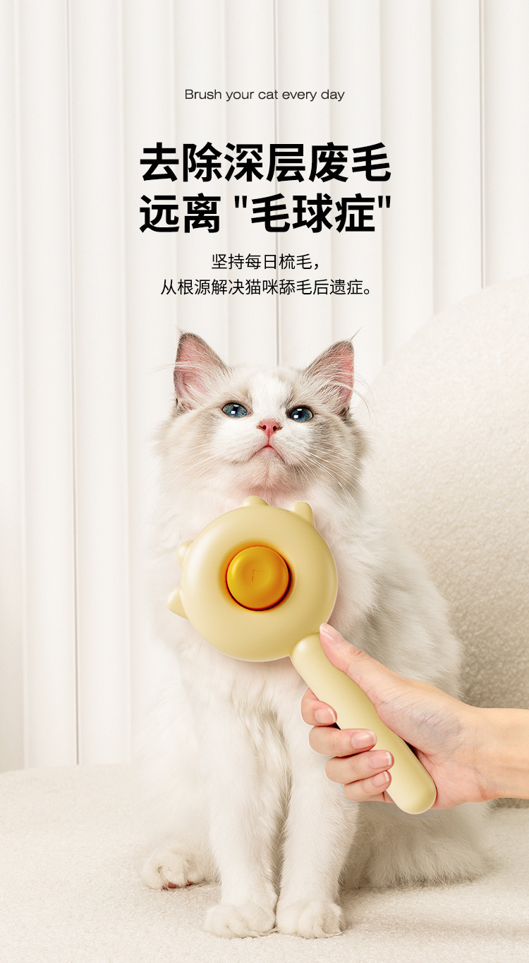 32201e21-202c-4ee4-bfb3-78a3b234f6e3.jpe