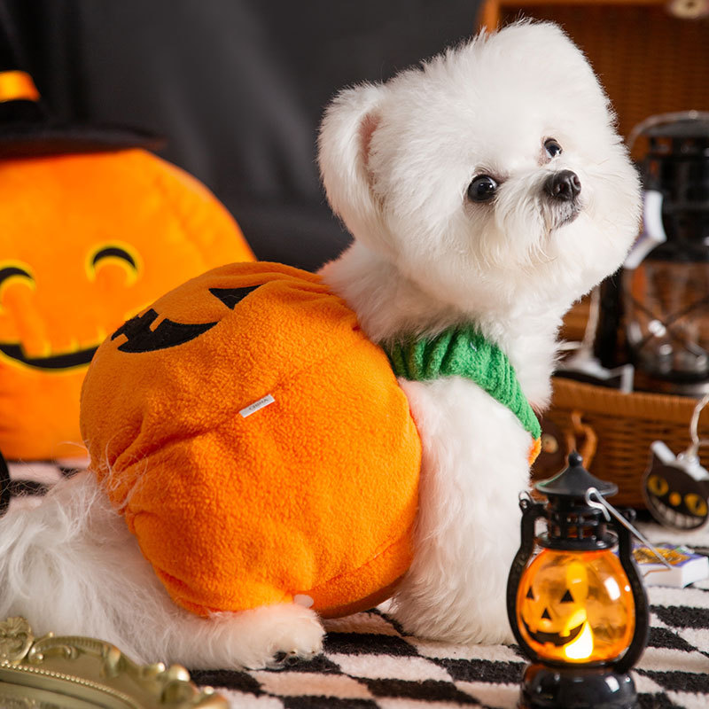 Otoño e Invierno perro Halloween Navidad calabaza luz transformación traje divertido gato dos pies mascota peluche perro ropa