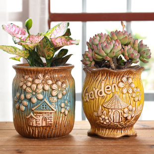 Large Succulent Flower Pot, Tall Pot with Wide Diameter, Creative Simple Ceramic Pot for Plants