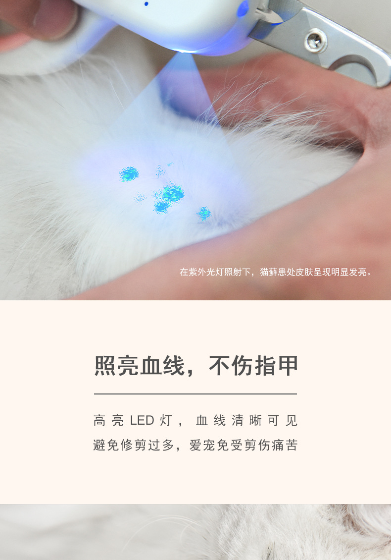 带灯猫剪 (7).jpg