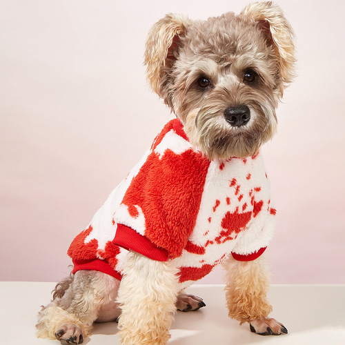 Pet clothes wholesale from the manufacturer, autumn and winter plush sweatshirts, warm cat clothes, cute and fashionable, Instagram style dog clothes.