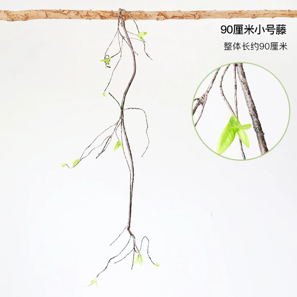 90cm trumpet fern